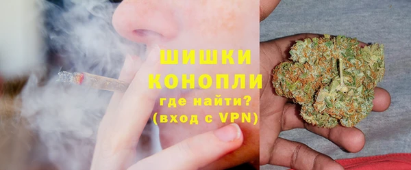 PSILOCYBIN Бронницы