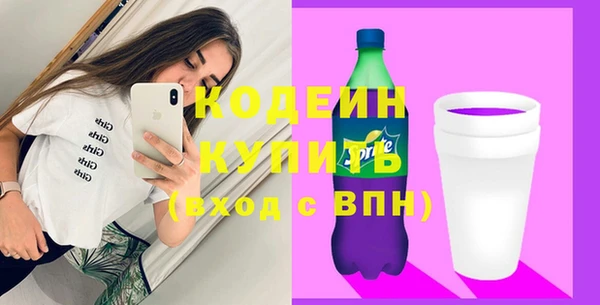 spice Бородино