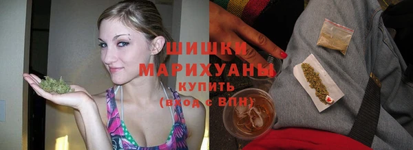 PSILOCYBIN Бронницы