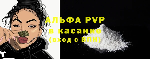PSILOCYBIN Бронницы