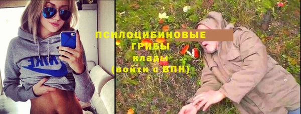 spice Бородино