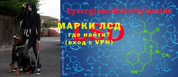 spice Бородино