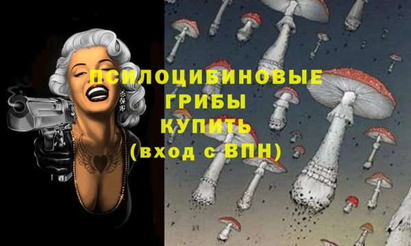 PSILOCYBIN Бугульма