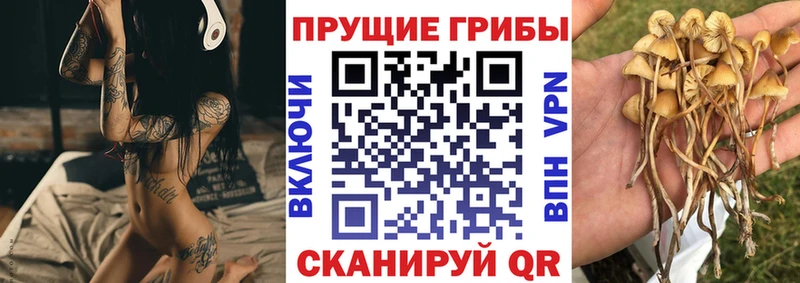 где найти наркотики Ленинск-Кузнецкий мега ТОР Псилоцибиновые грибы MAGIC MUSHROOMS